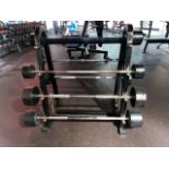 Barbell Weights & Stand