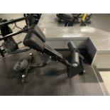 Technogym Lower Back Press