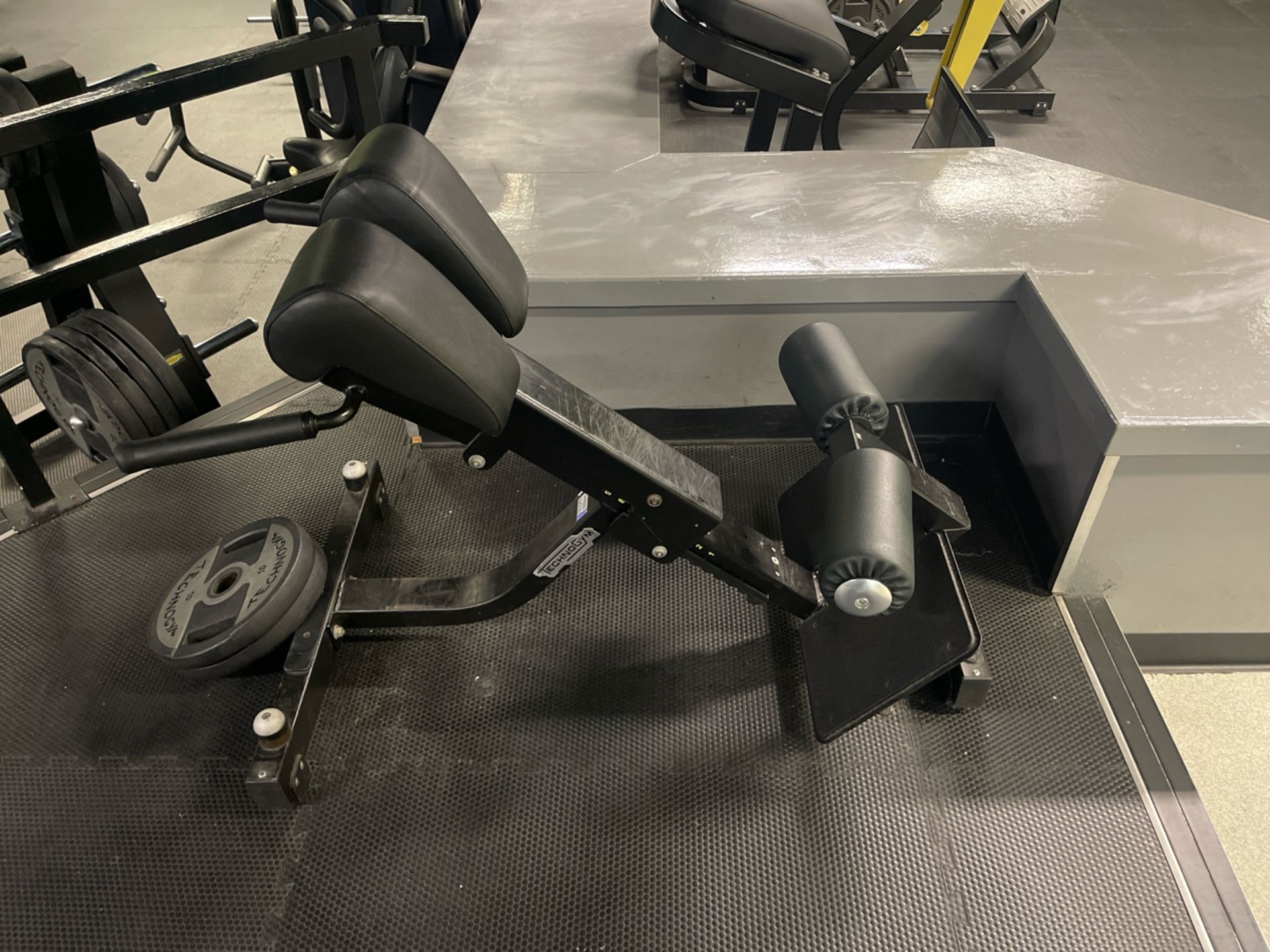 Technogym Lower Back Press