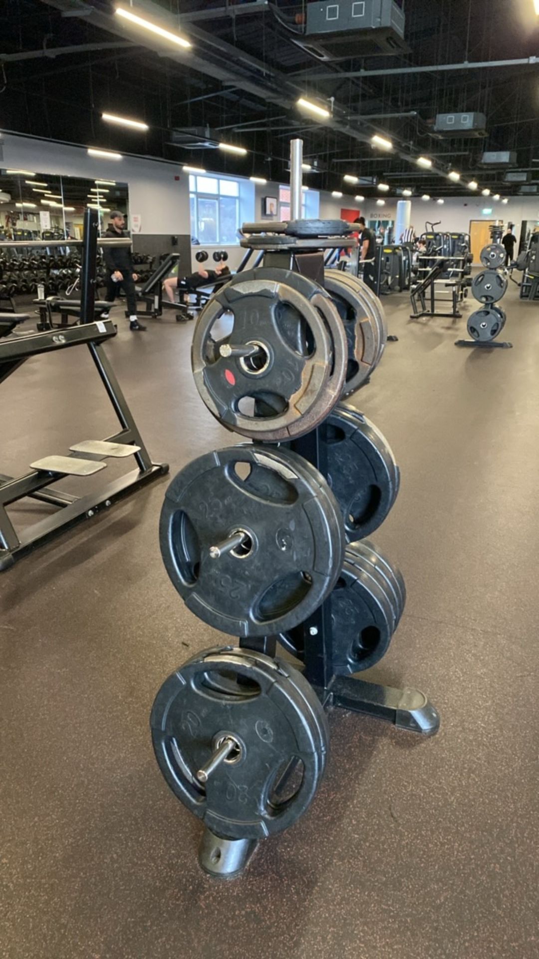 Weight Plate Tree & 10kg, 15kg, 20kg, 25kg, Plates - Image 2 of 9
