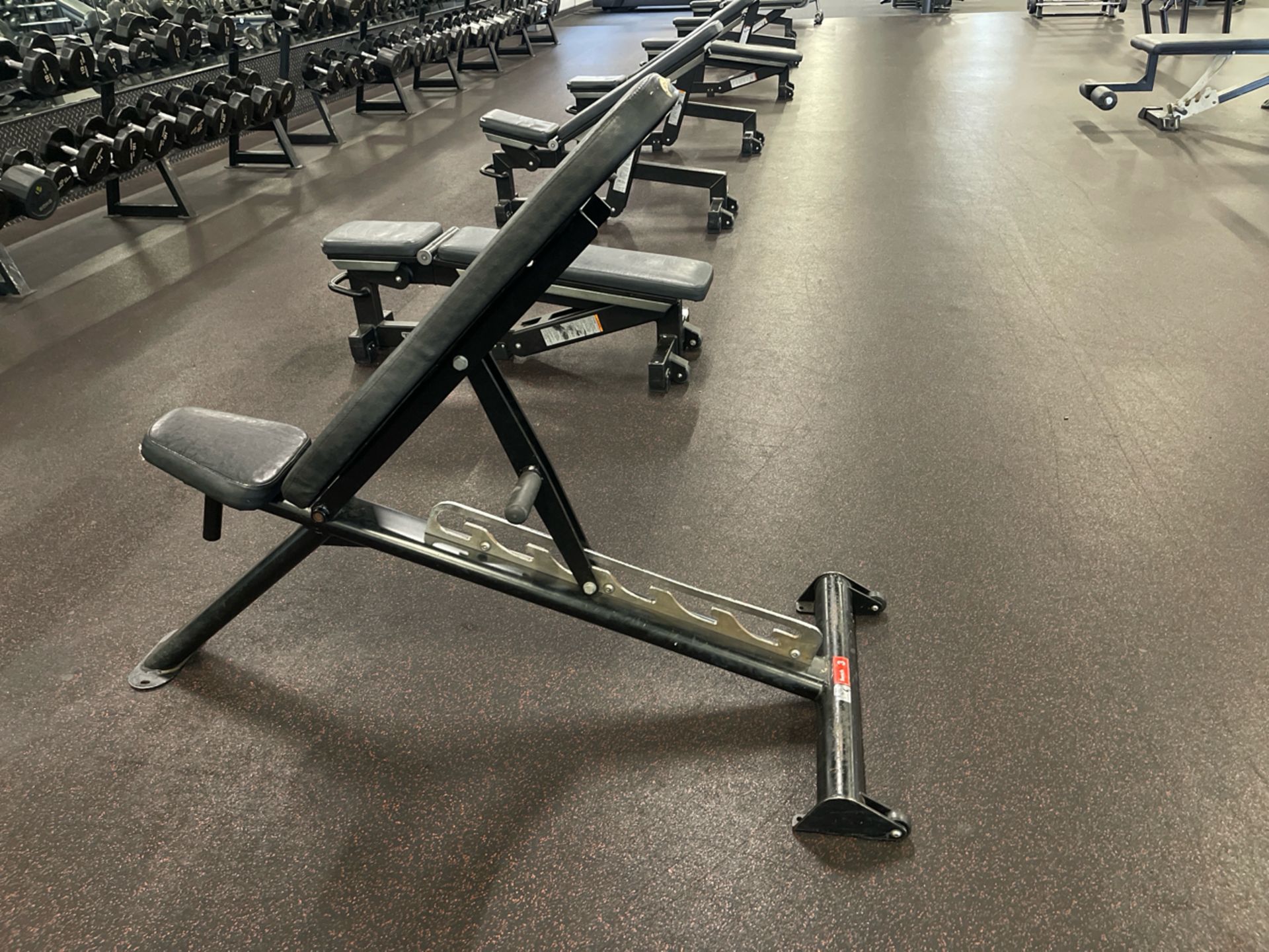 Force Adjustable Bench