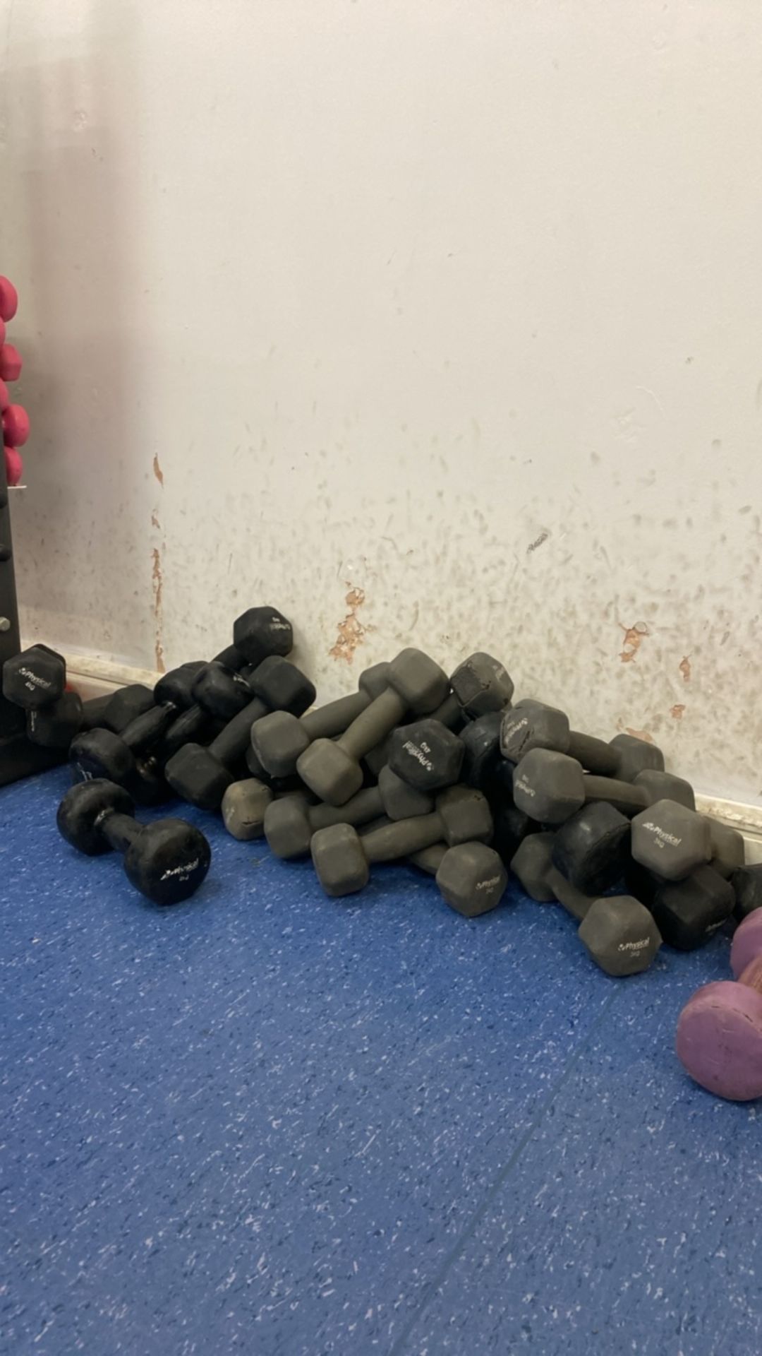 Selection Of Studio Dumbells & Stand - Image 6 of 9