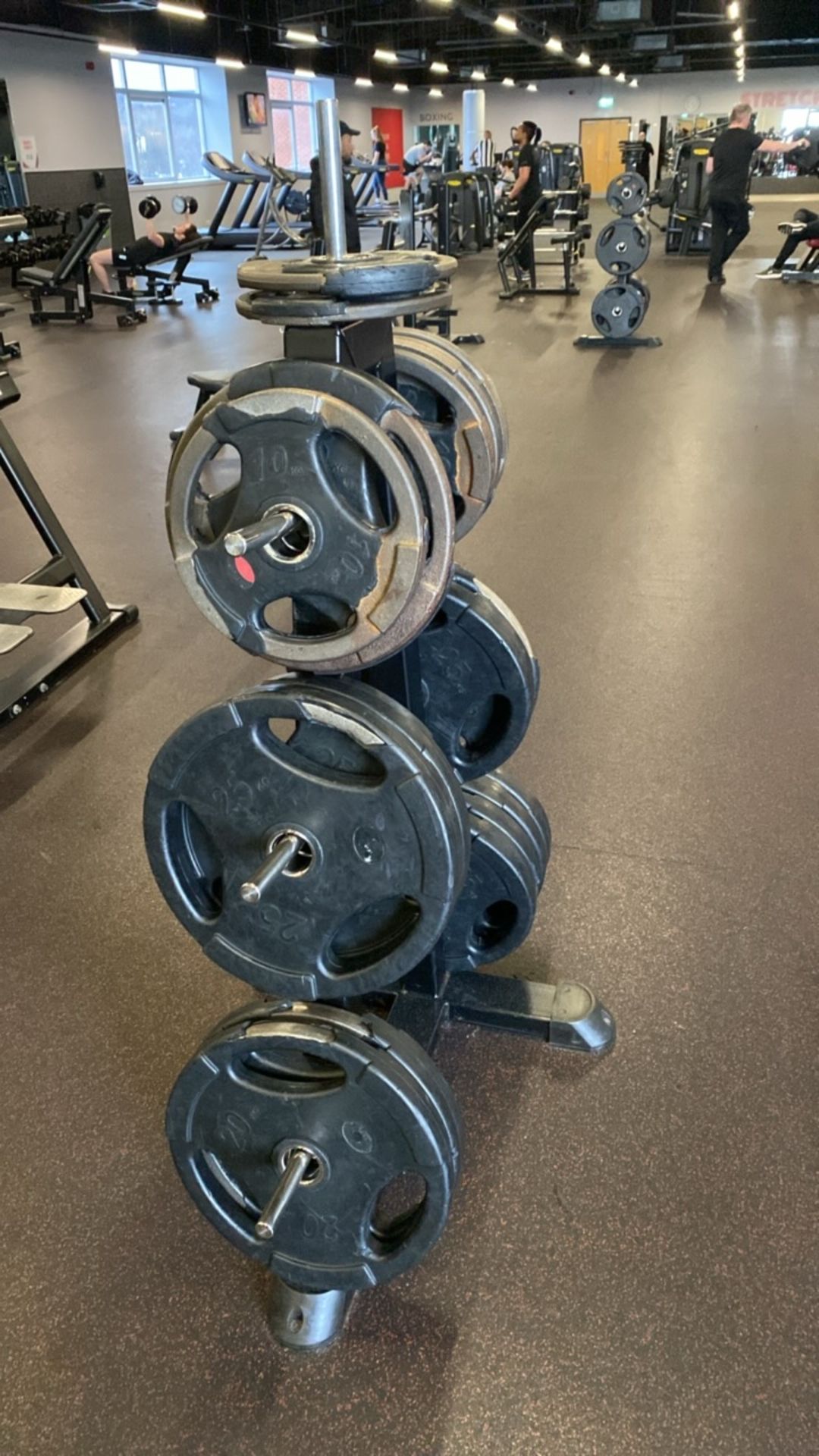 Weight Plate Tree & 10kg, 15kg, 20kg, 25kg, Plates - Image 3 of 9
