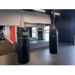 Everlast Boxing Bag x1