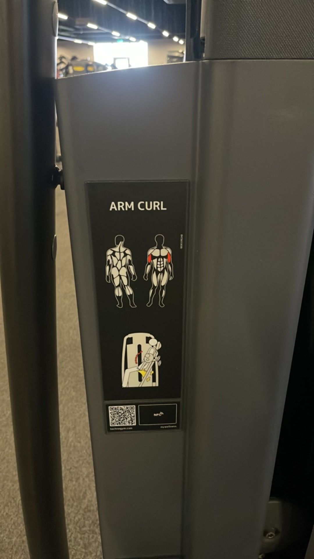 Technogym Arm Curl - Bild 2 aus 8