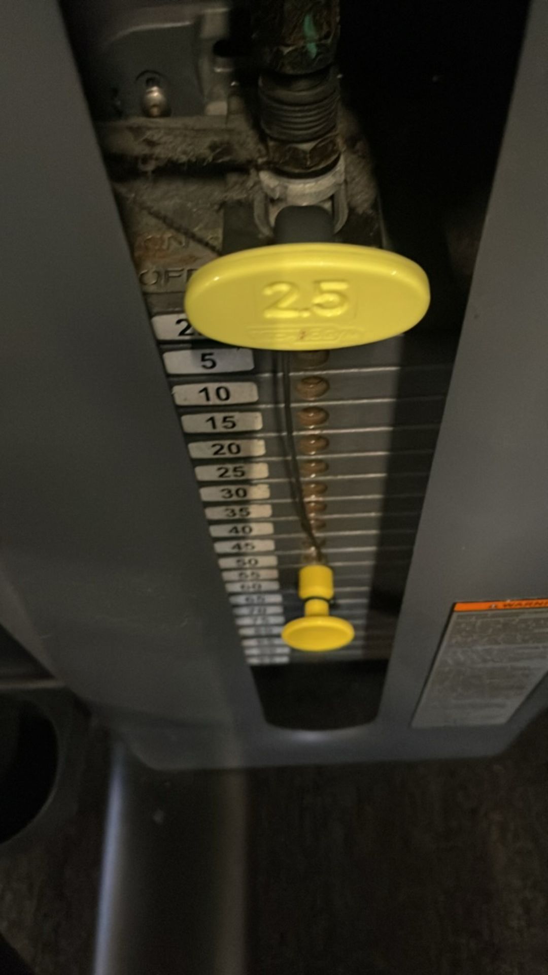 Technogym Leg Curl - Image 4 of 9