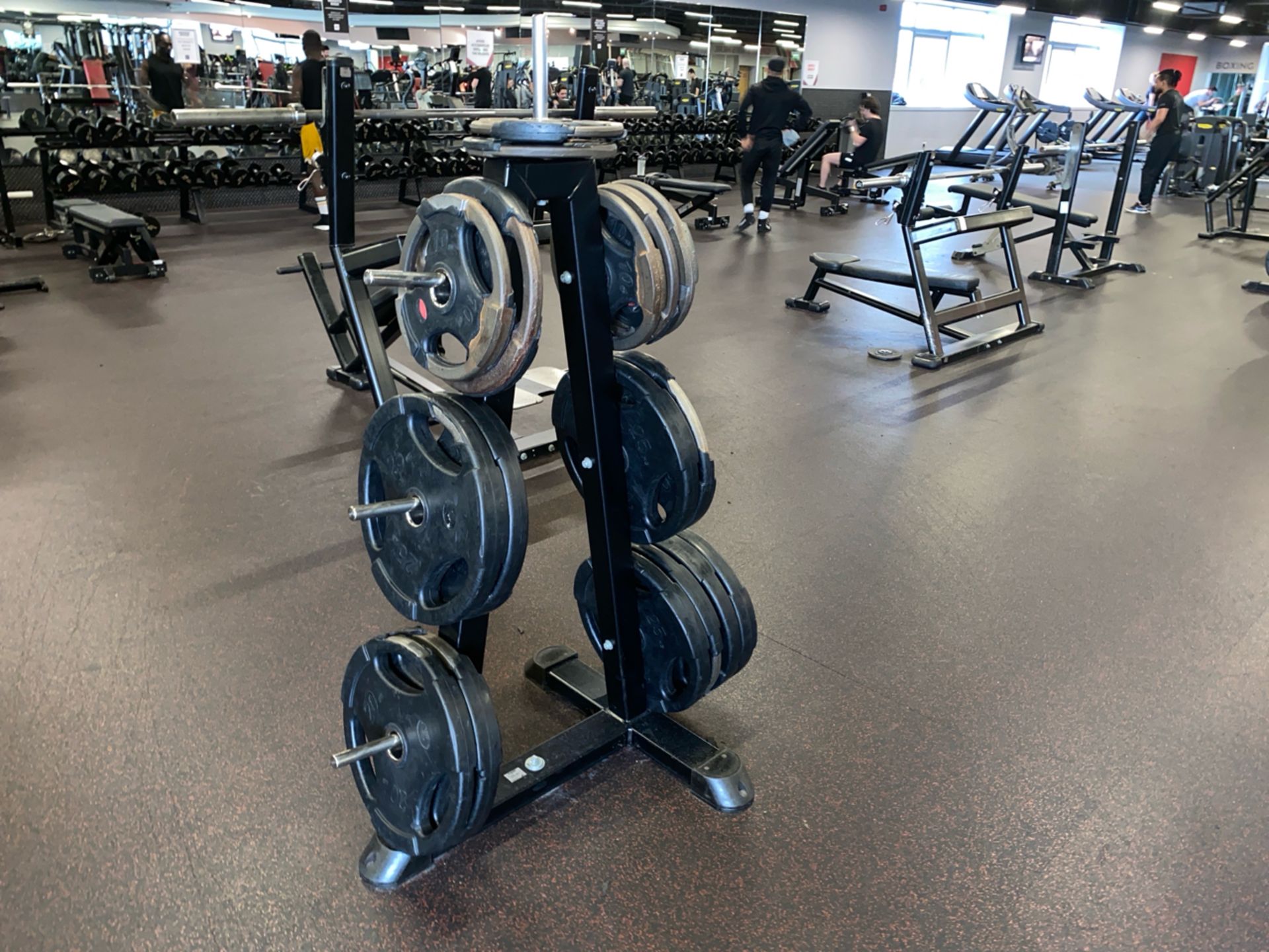 Weight Plate Tree & 10kg, 15kg, 20kg, 25kg, Plates