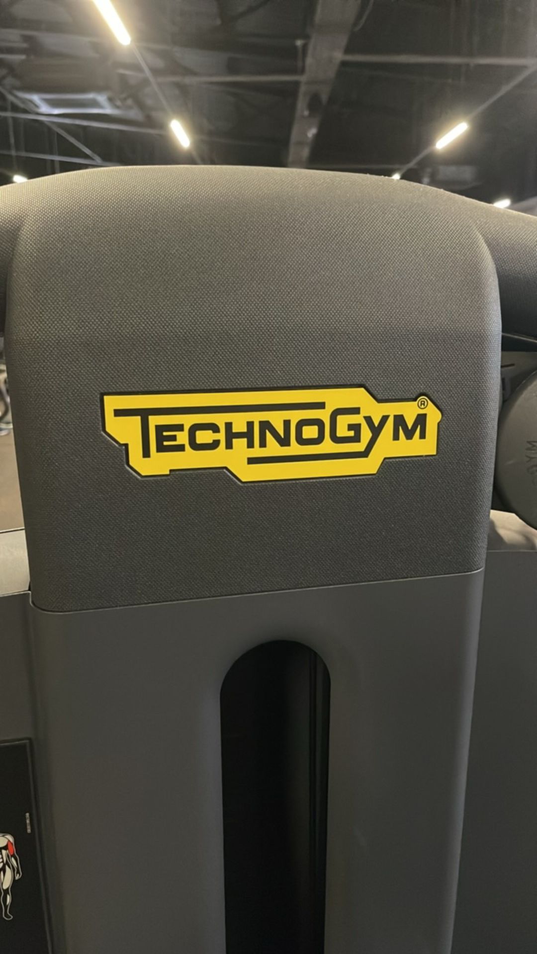 Technogym Arm Curl - Bild 3 aus 8