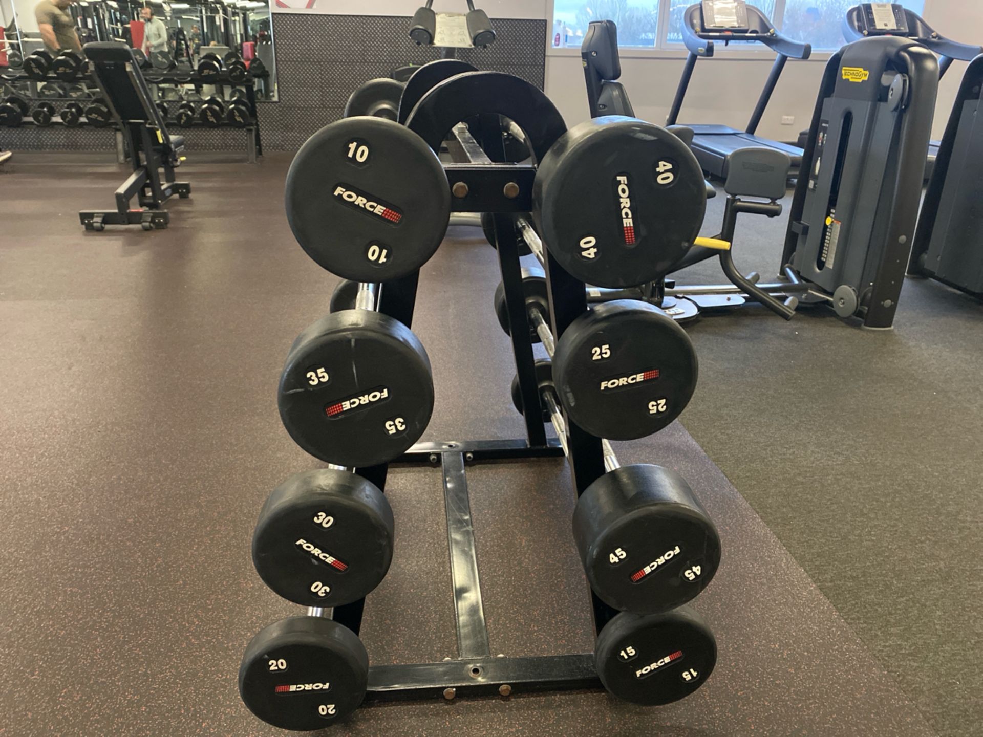 Force Weights & Bench