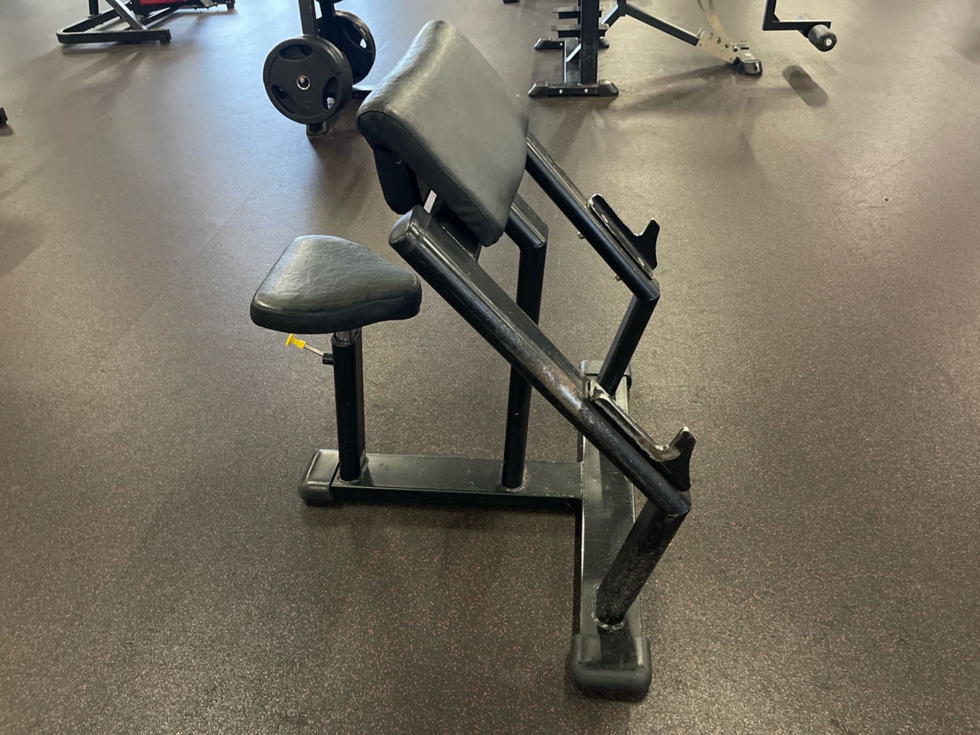 Force Preacher Curl Bench