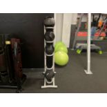 4 x Weighted Balls & Stand