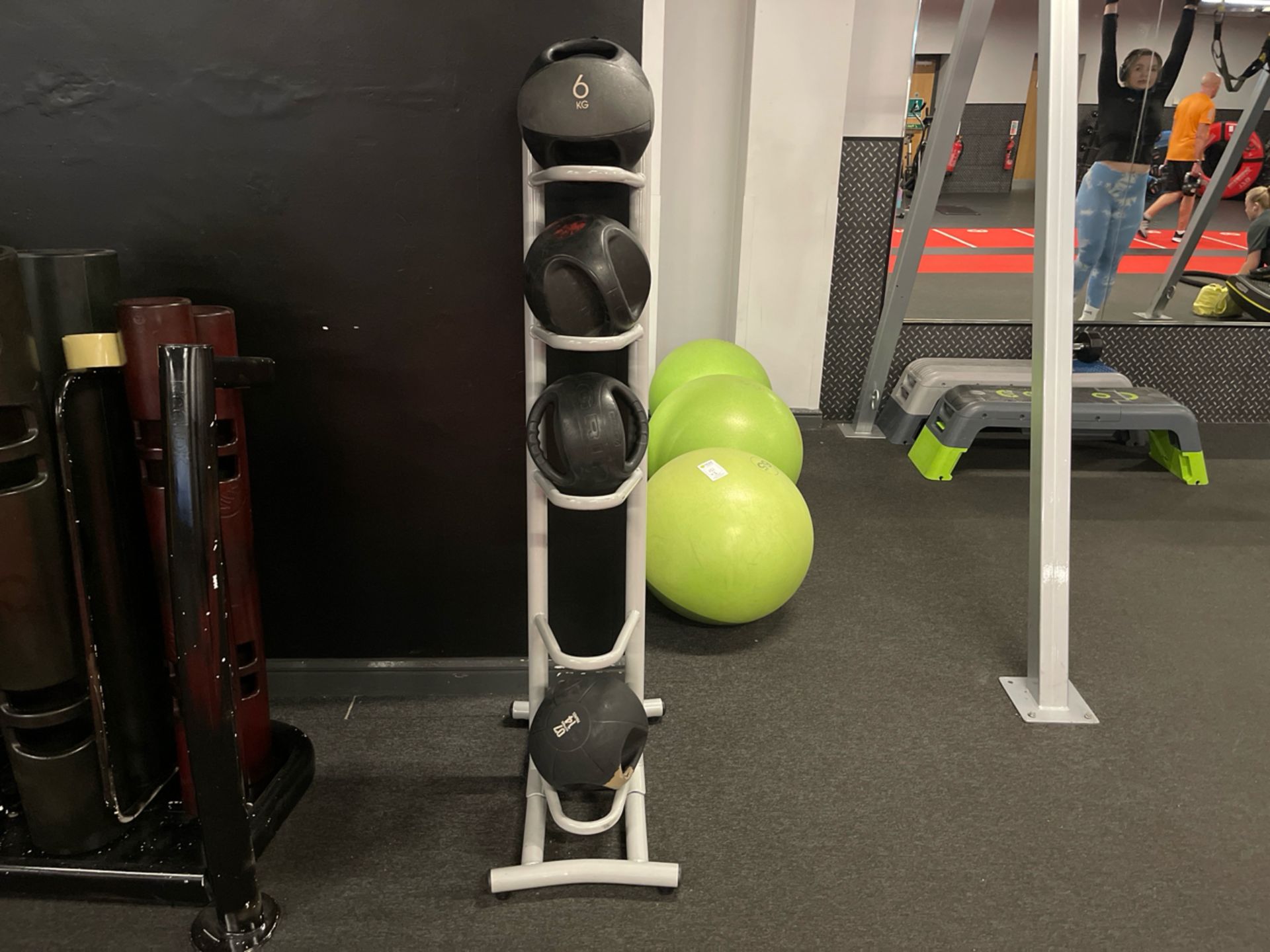 4 x Weighted Balls & Stand