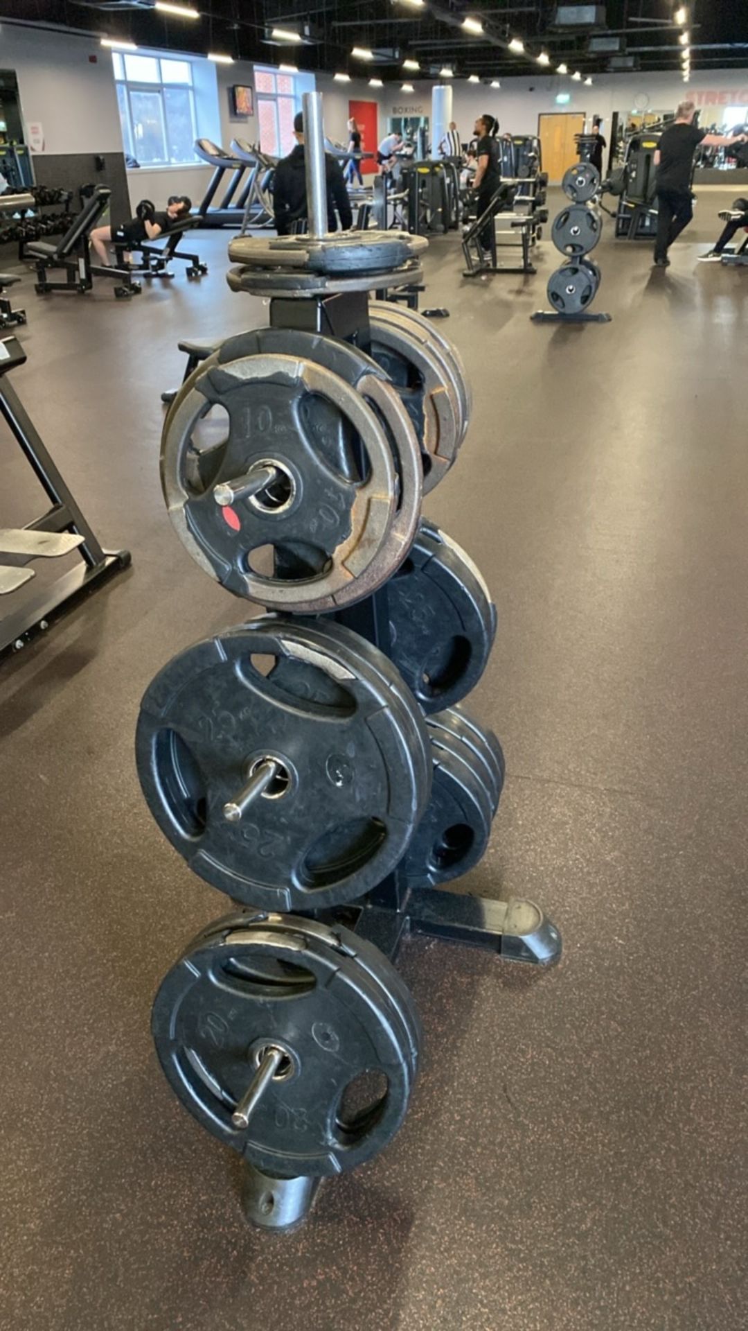 Weight Plate Tree & 10kg, 15kg, 20kg, 25kg, Plates - Image 4 of 9