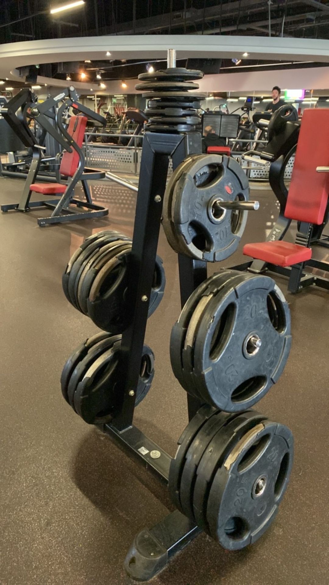 Weight Plate Tree & 2.5kg, 10kg, 15kg 20kg Plates - Image 6 of 8