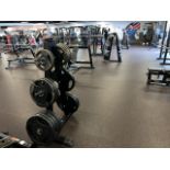 Weight Plate Tree & 2.5kg, 5kg, 10kg, 15kg, 20kg, 25kg Plates