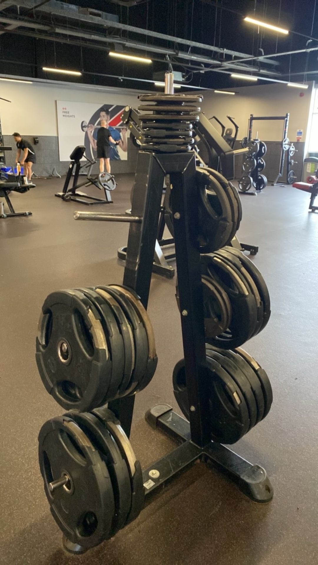 Weight Plate Tree & 2.5kg, 10kg, 15kg 20kg Plates - Image 7 of 8