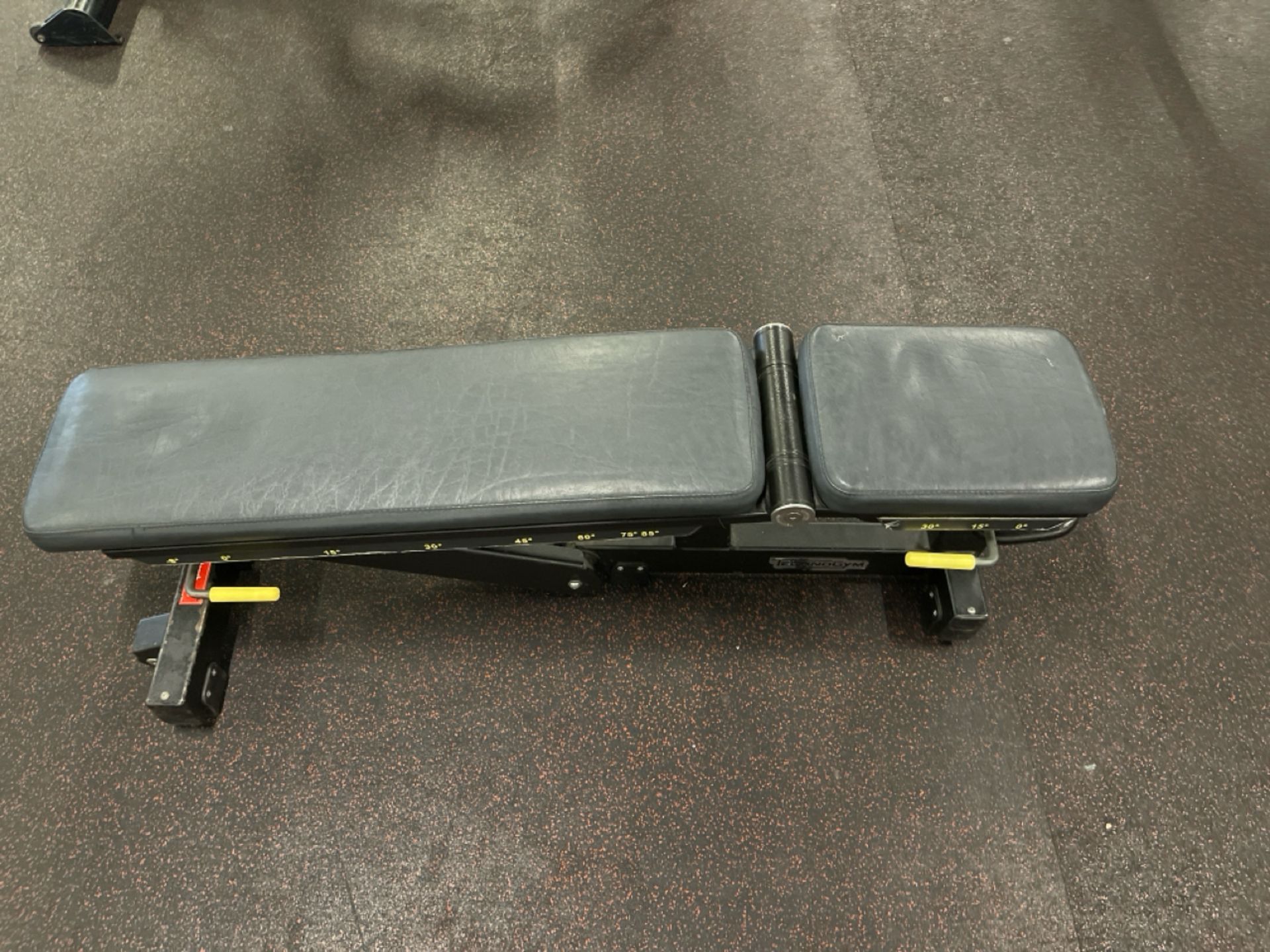 Technogym Adjustable Bench