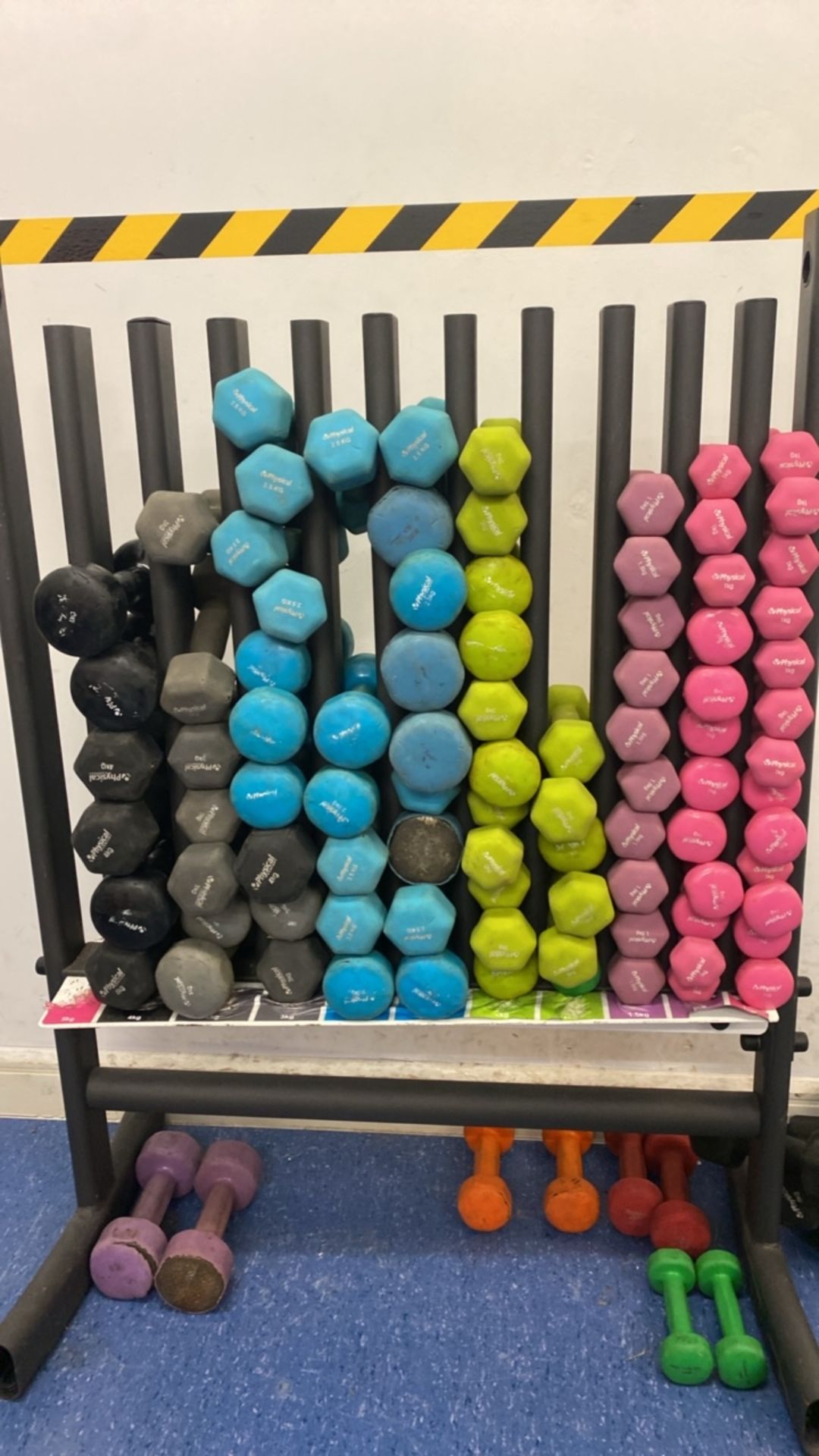 Selection Of Studio Dumbells & Stand - Image 8 of 9