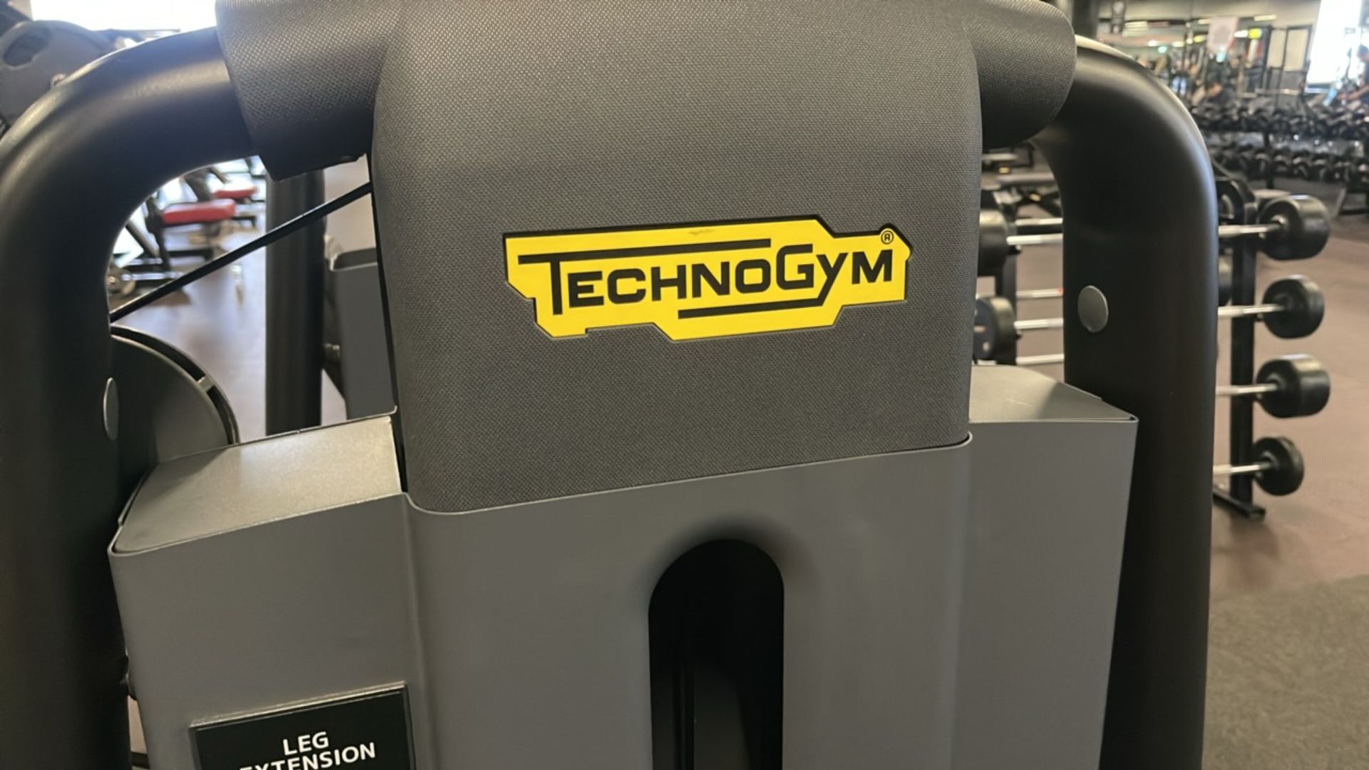 Technogym Leg Extension - Image 4 of 9