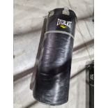 Everlast Punch Bag