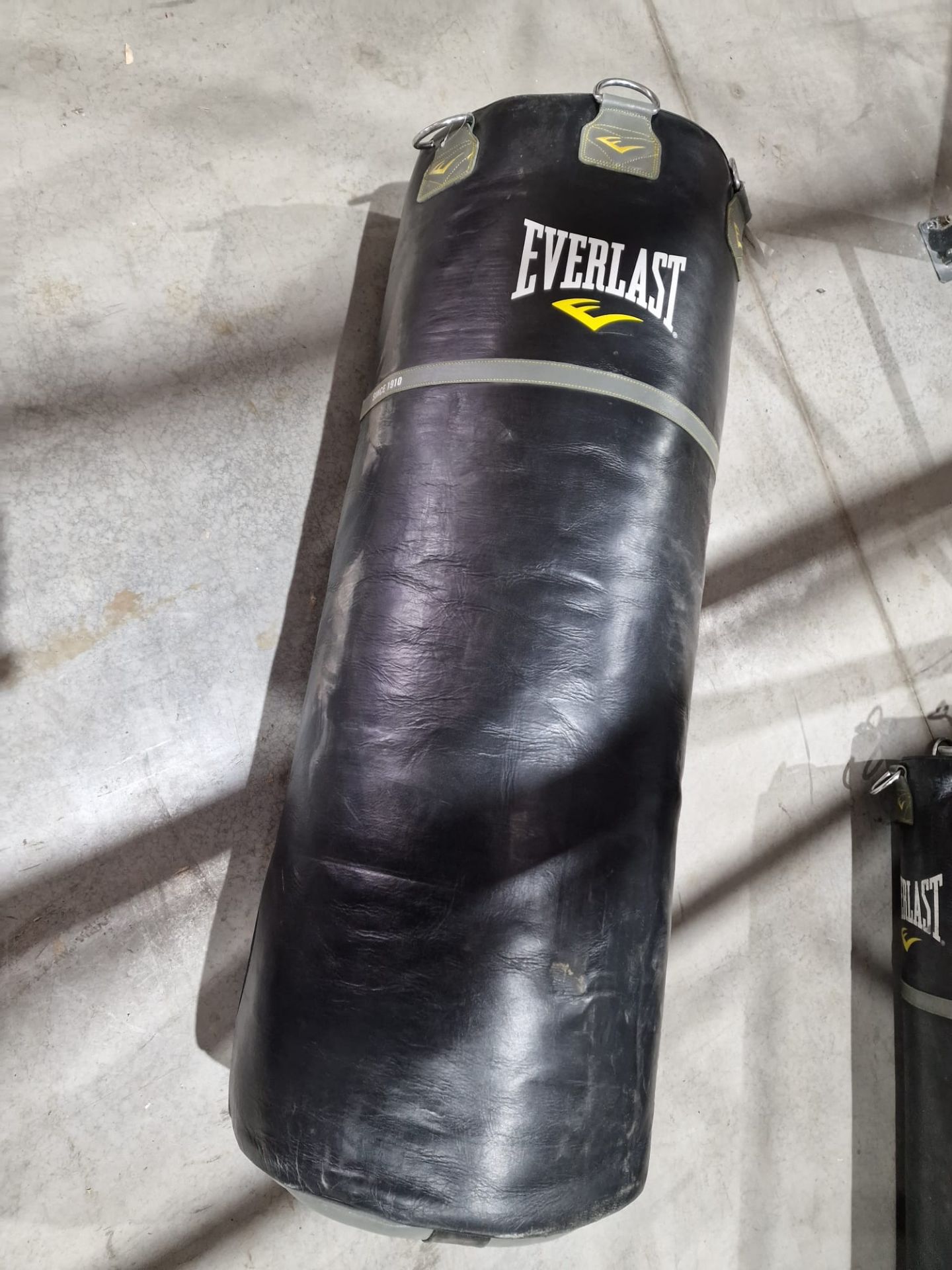 Everlast Punch Bag