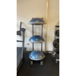 Bosu Boards & Stand x3