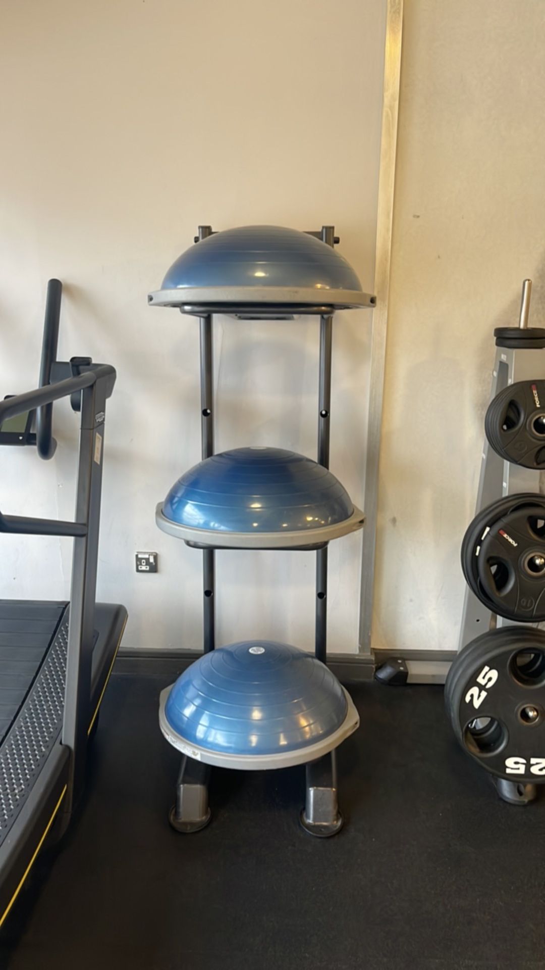 Bosu Boards & Stand x3