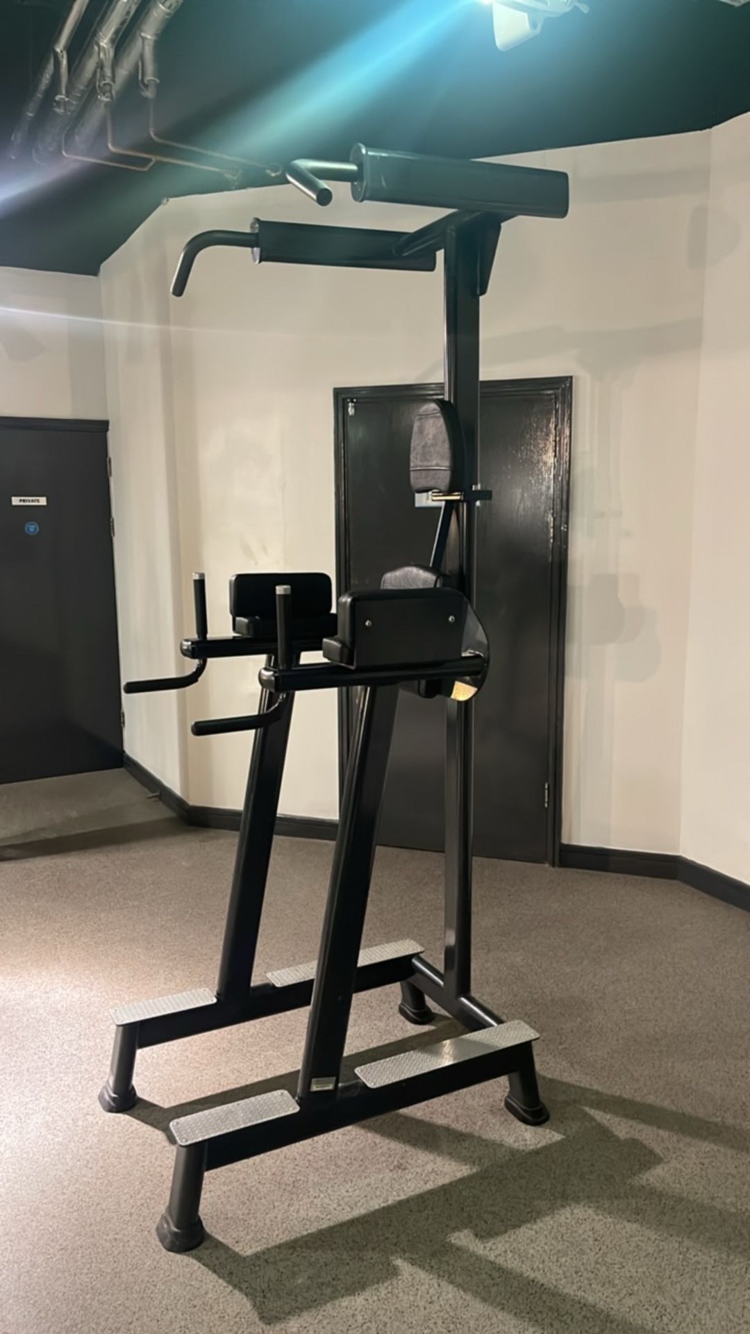 Pull Up / Knee Raise Station - Image 8 of 8