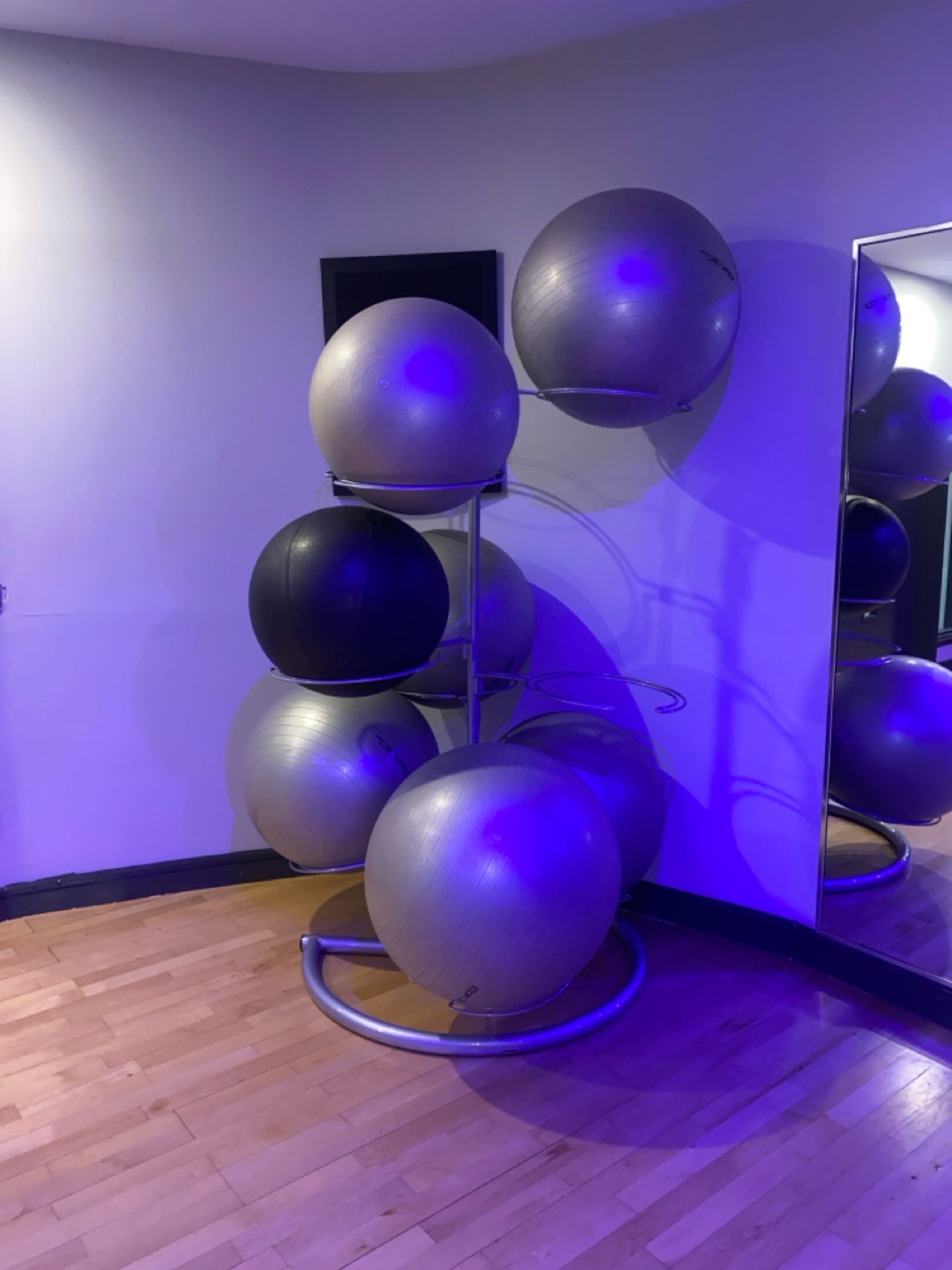 Exercise Balls & Stand x7 - Image 2 of 6
