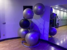 Exercise Balls & Stand x7