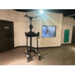 Pull Up / Knee Raise Station