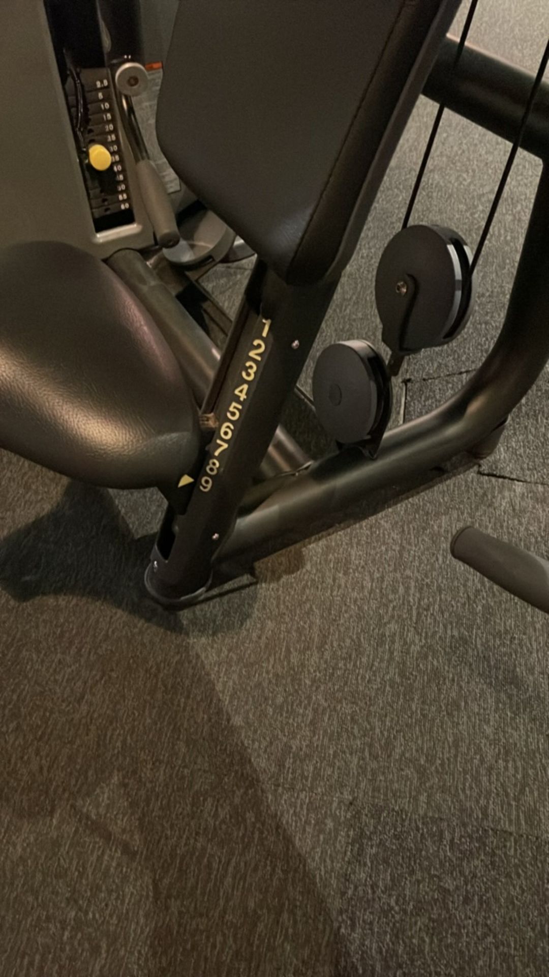 Technogym Arm Curl - Image 10 of 11