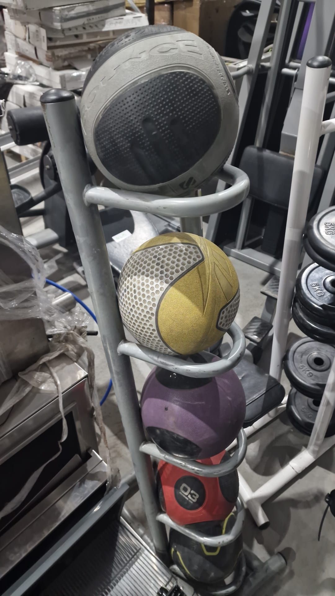 Stand with Various Exercise Balls - Image 3 of 4