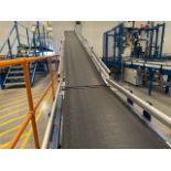 Motorised Conveyor Belt With Incline
