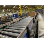 Elevated Motorised Roller Conveyor