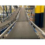 Motorised Conveyor Belt With Incline