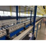 Elevated Motorised Roller Conveyor