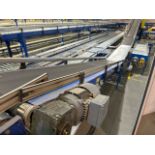 Motorised Conveyor Belt With Incline