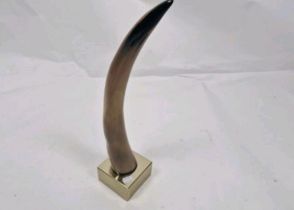 Horn Sculpture