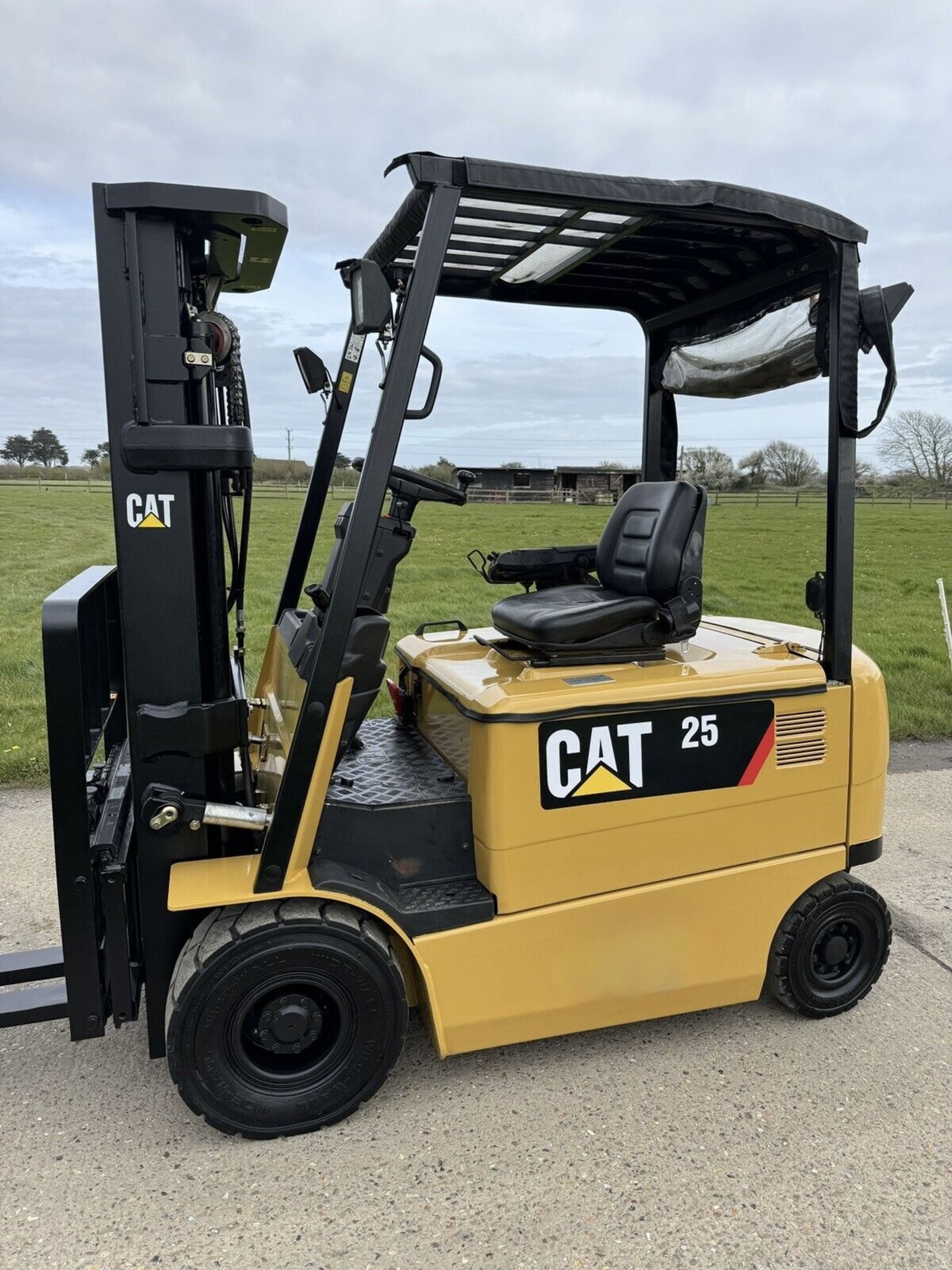 CATERPILLAR - 2.5 Tonne Electric Forklift Truck (Container Spec) - Image 6 of 7