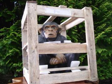 New Crated Monkey Statue