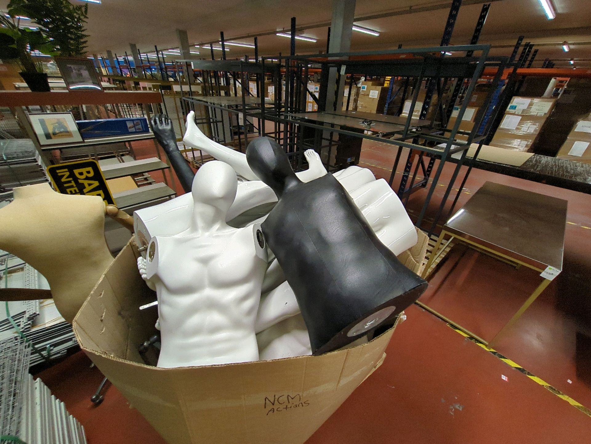 Large Box Mixed Mannequins