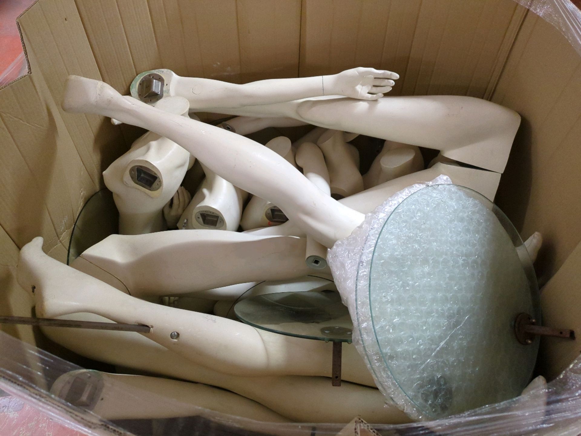 Box of 6 Mannequins (Female) - Image 2 of 4