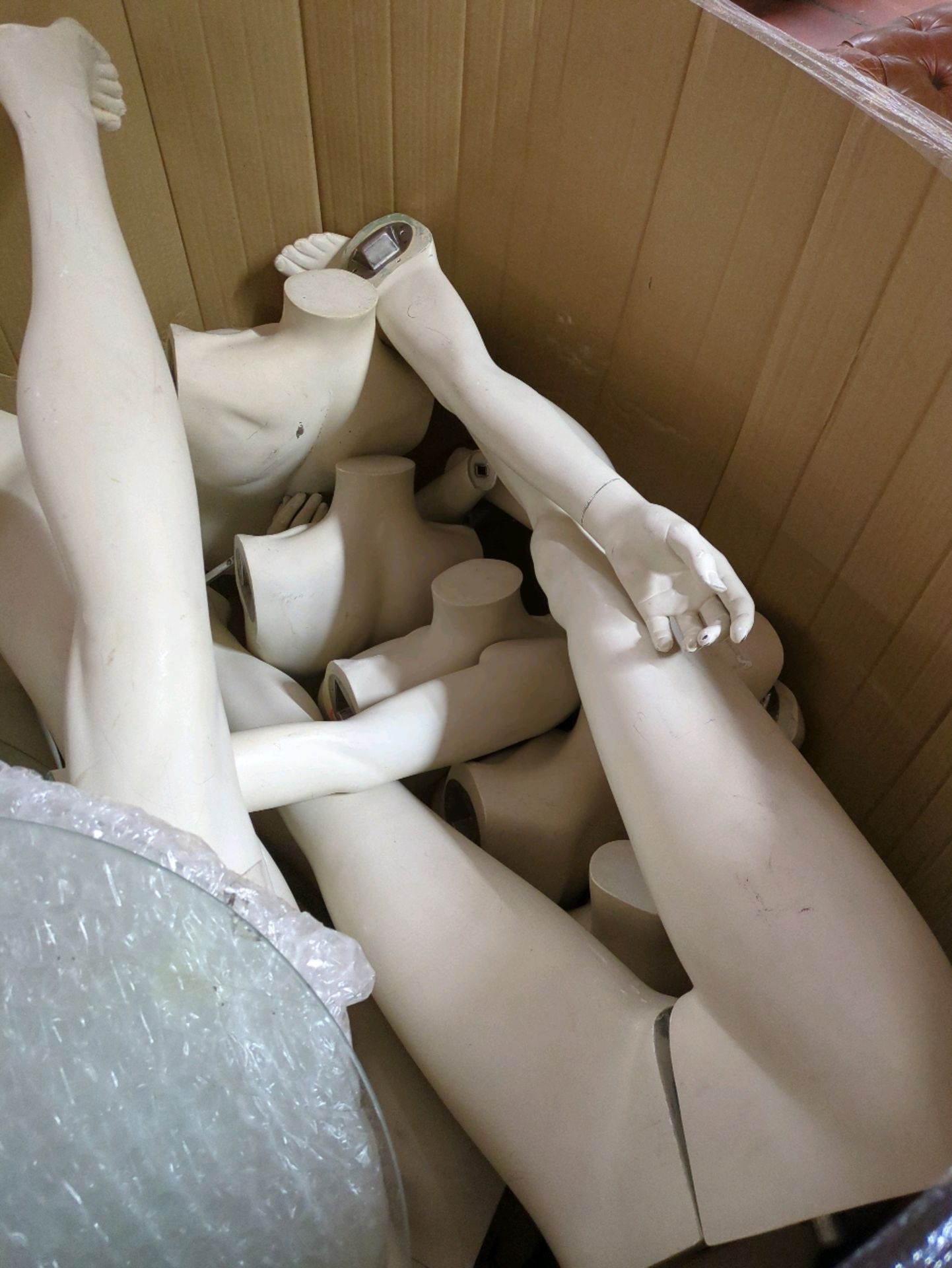 Box of 6 Mannequins (Female) - Image 3 of 4
