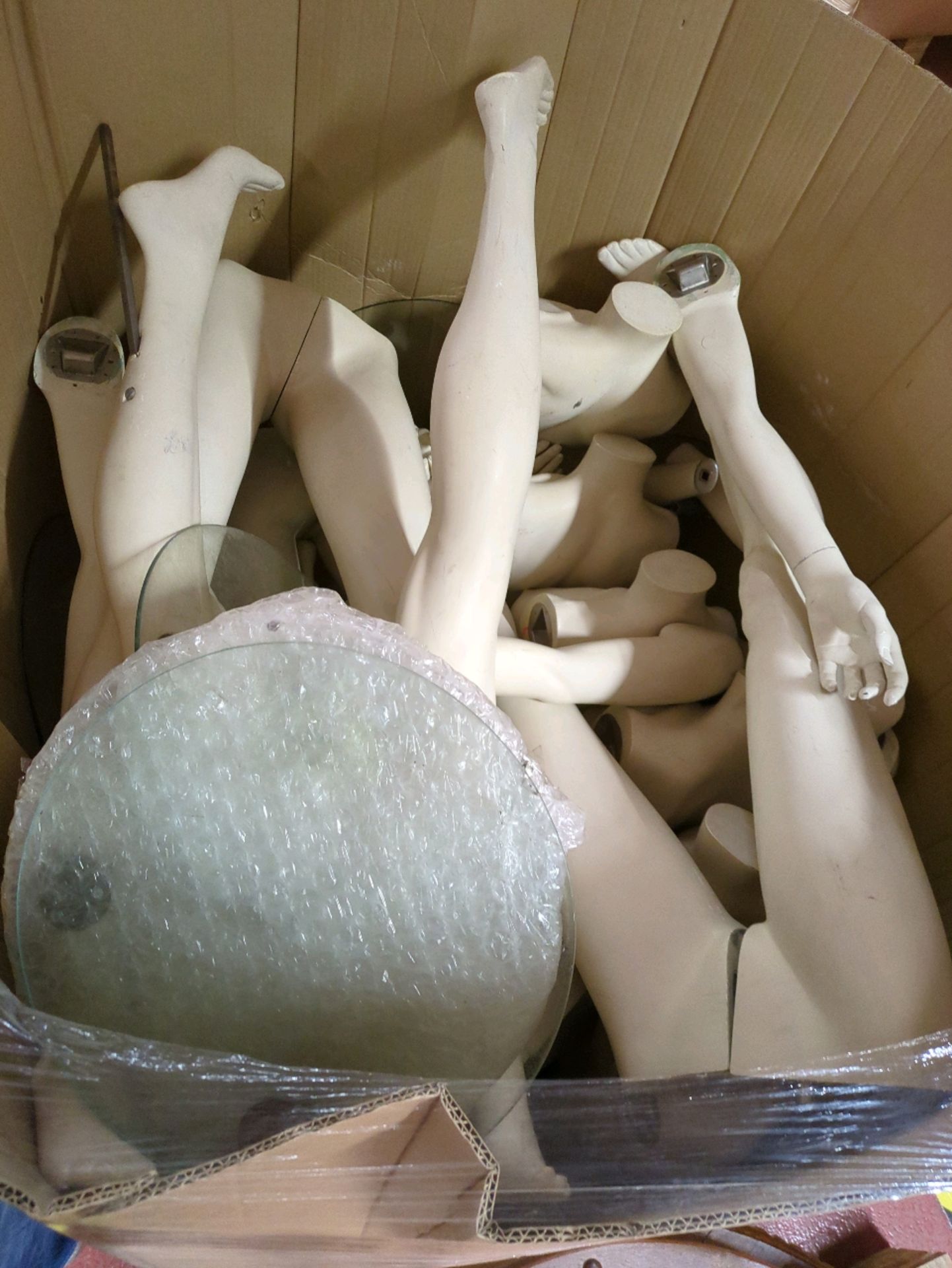 Box of 6 Mannequins (Female) - Image 4 of 4