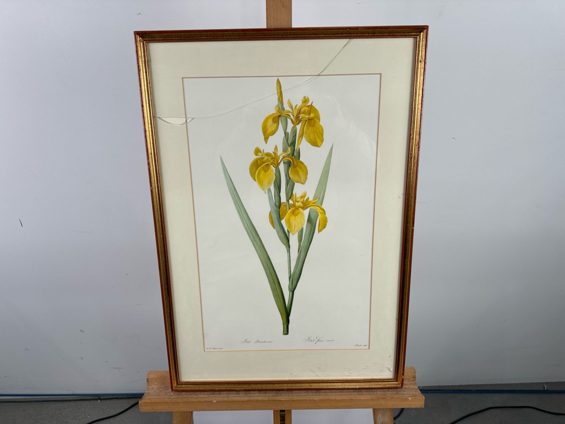 Iris Artwork Print - Image 2 of 3