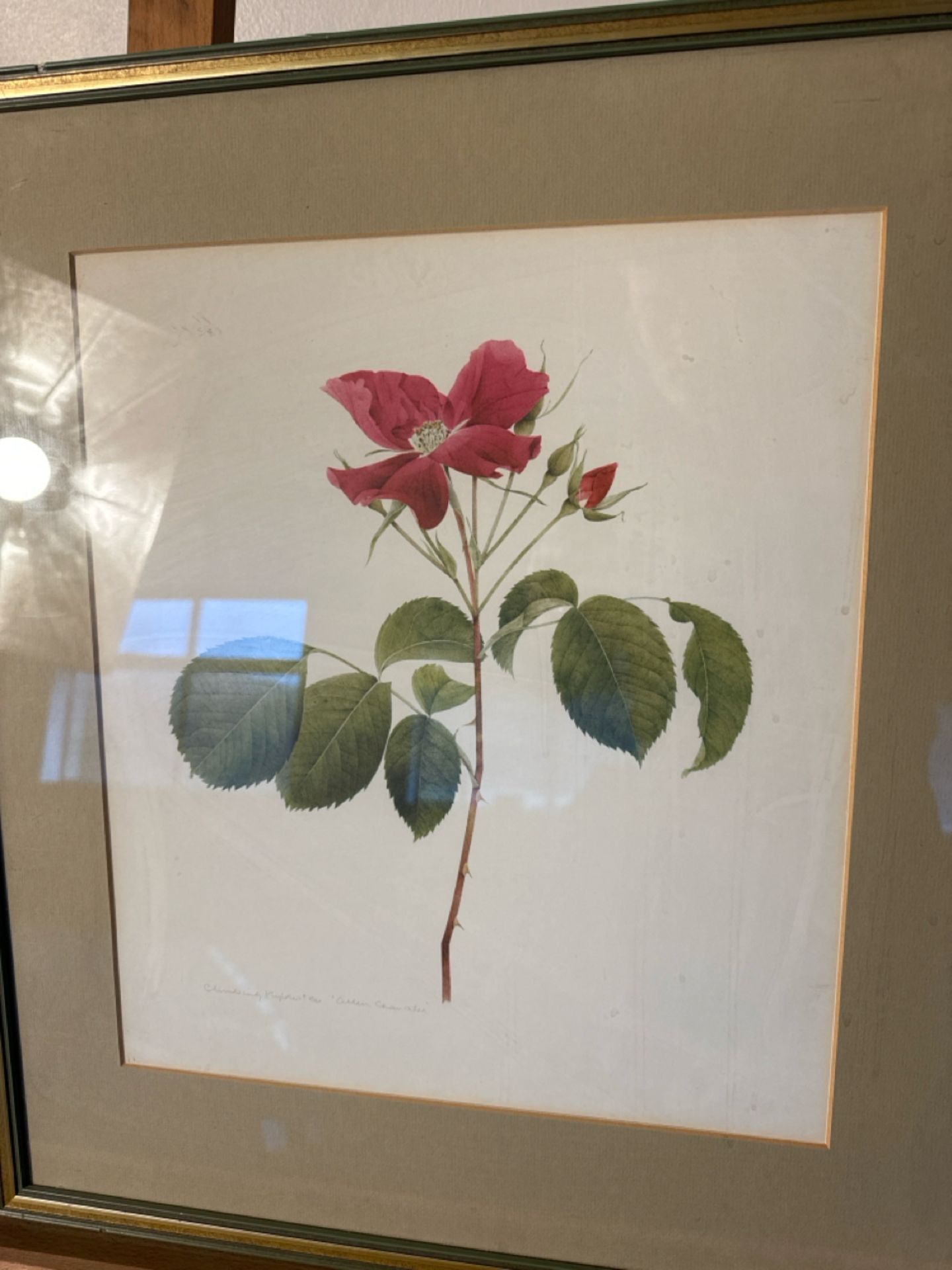 (ref 26) Flower Artwork Print - Image 2 of 2