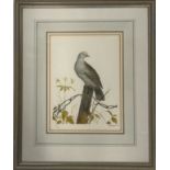 Bird Artwork Print