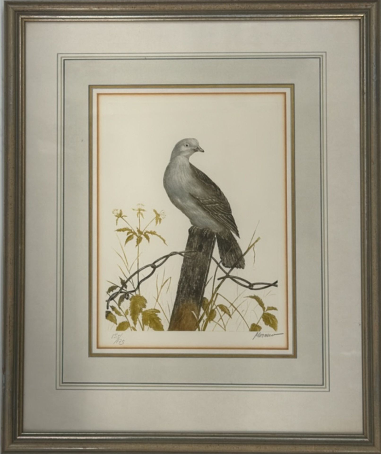 Bird Artwork Print