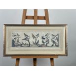 Artwork - Natural History Bird Print